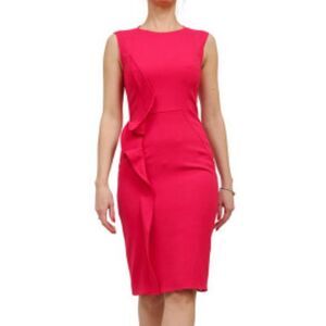 Elie Saab Pink Sheath Dress EU 36 size 6